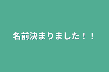 名前決まりました！！