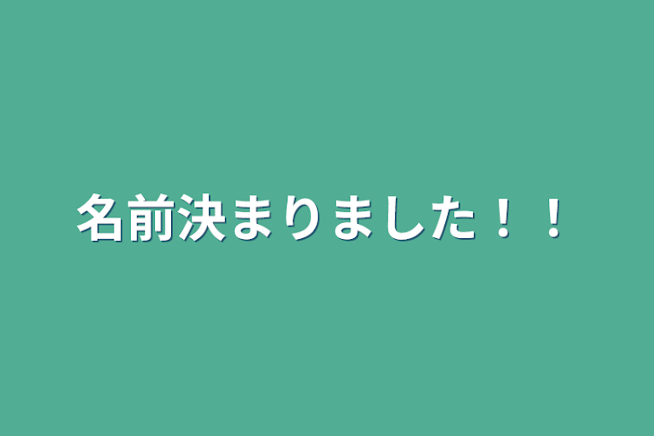 「名前決まりました！！」のメインビジュアル