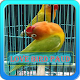 Download Terapi Lovebird Paud Offline For PC Windows and Mac 1.0