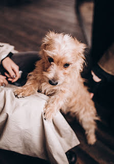 Fotografo di matrimoni Dmitriy Maley (maleyphoto). Foto del 7 marzo 2018