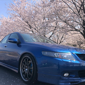 アコード CL7