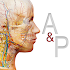 Anatomy & Physiology 5.1.10 (Patched)