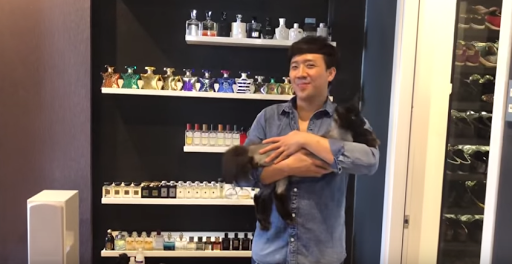Xem ra bộ lông của Xì vẫn chưa khá hơn mấy so với lúc mới cạo