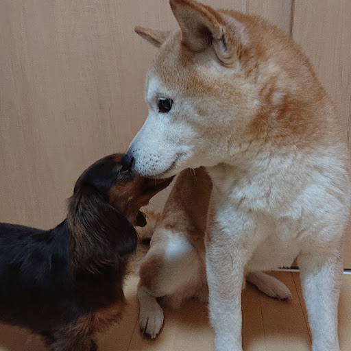せいじのプロフィール画像