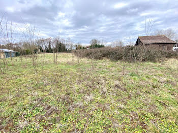 terrain à Noaillan (33)