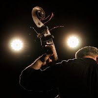 Sotto i riflettori di 