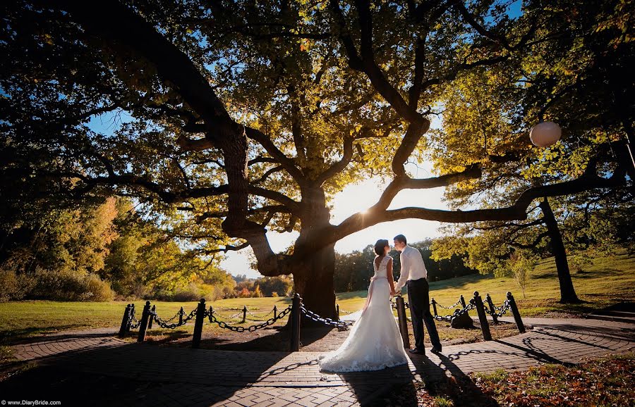 Wedding photographer Aleksandr Sergeevich (cinemawork). Photo of 9 October 2014