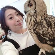 OWL Coffee 貓頭鷹咖啡