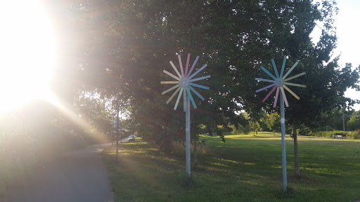 Sun Flowers 