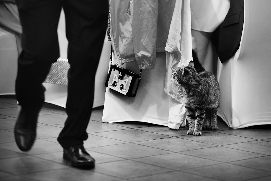 Fotógrafo de casamento Michał Gębal (michalgebal). Foto de 20 de dezembro 2017