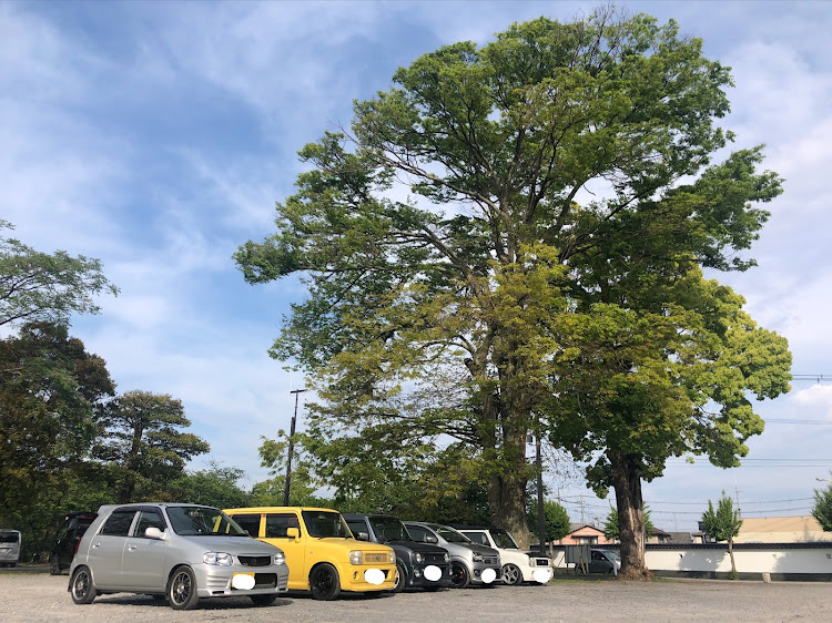 アルトワークスの福岡・久しぶりに投稿・アサギマダラ🦋・子猫に癒される😊・高いようで低くないノーマル車高のセカンドカーに関するカスタム事例の投稿画像7枚目