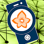 Cover Image of Download Flora Incognita - automated plant identification 2.7.53 APK