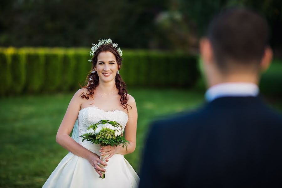 Wedding photographer Tamás Greguss (gregusstamas). Photo of 8 June 2023