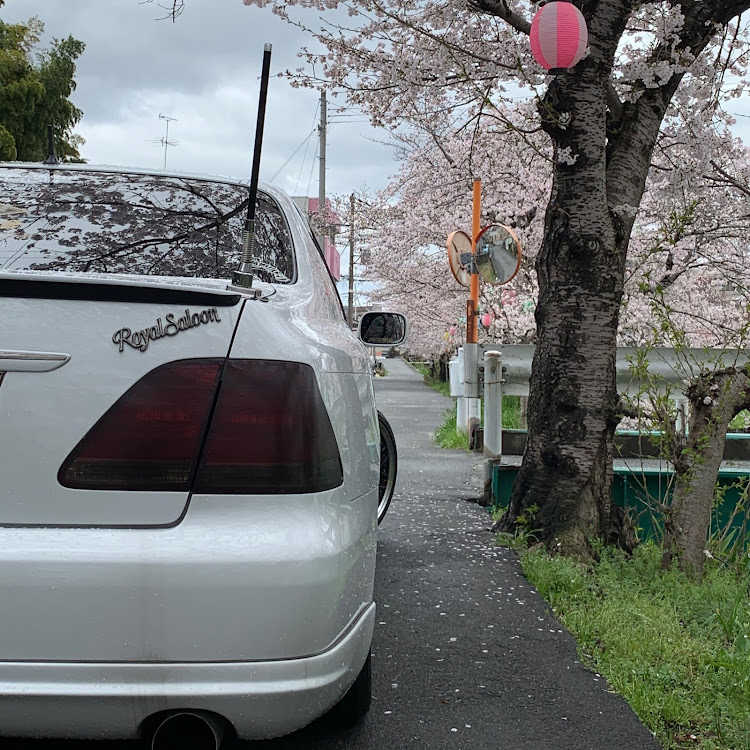 クラウンロイヤルのINFINITY SUM・毎度、いいね👍ありがとうございます😊・安全運転、安全作業で宜しくお願いします🙇‍♂️・桜と初コラボ・GRS180 ロイヤルに関するカスタム事例の投稿画像2枚目