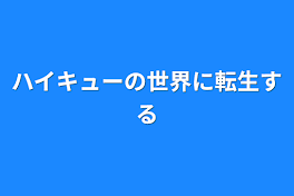 ハイキューの世界に転生する