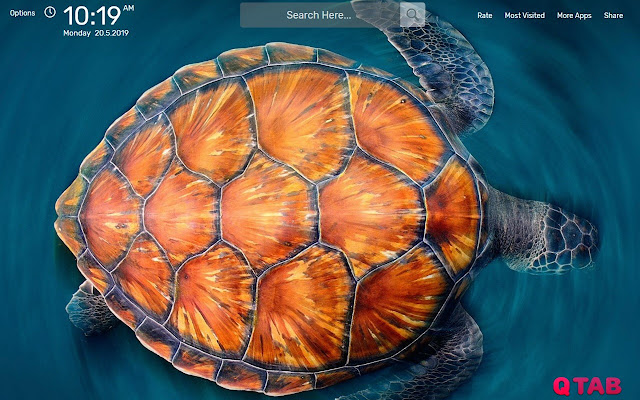 Sea Turtle Wallpapers Theme