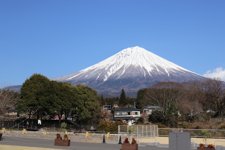 の投稿画像2枚目