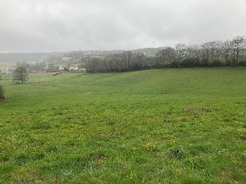 terrain à Lafeuillade-en-Vézie (15)