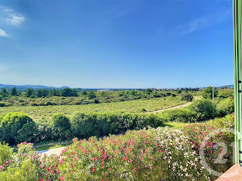 appartement à Calvi (2B)