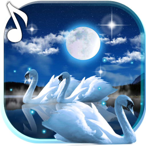 Download 520 Koleksi Background Angsa Cantik Gratis