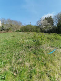 terrain à Villeneuve-sur-Yonne (89)