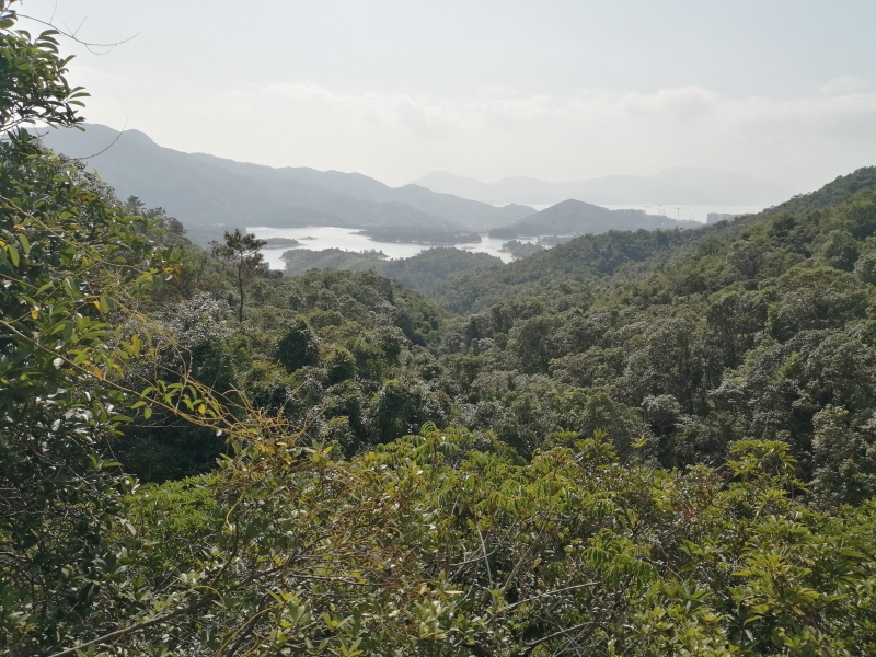 麥理浩徑第十段