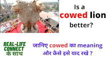 cowed meaning