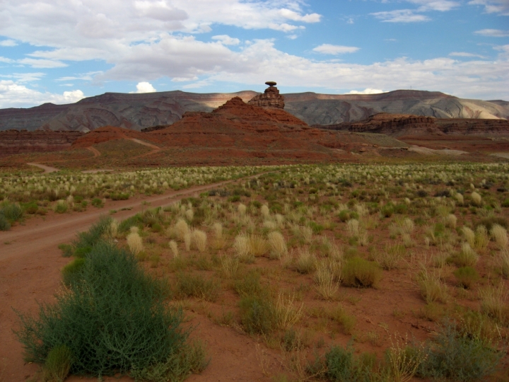 Mexican hat di feeviviane