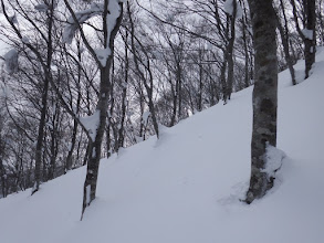 鞍部からは急登の登り返し