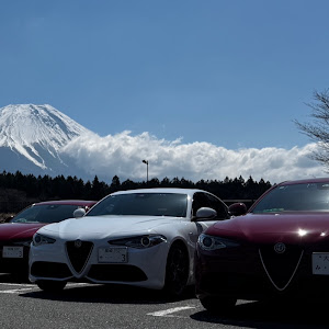 ジュリア 95220