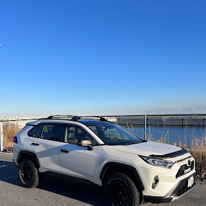 RAV4 MXAA54