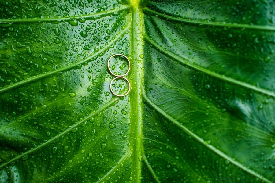 Bröllopsfotograf Huy Nguyen Quoc (nguyenquochuy). Foto av 1 juli 2017