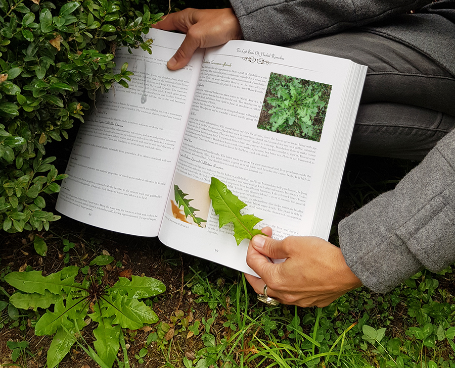 Le Livre Perdu des Plantes Médicinales