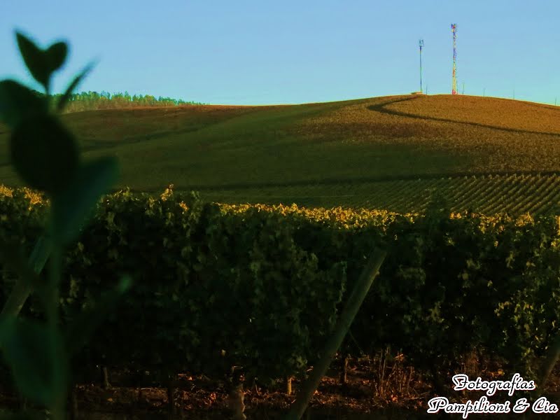 Fotógrafo de casamento Jaime Pampilioni (pampilioni). Foto de 19 de agosto 2015