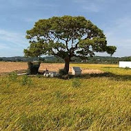 雙峰草堂-銅鑼燒 咖啡 下午茶