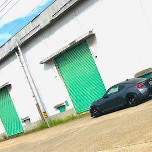 86 ZN6