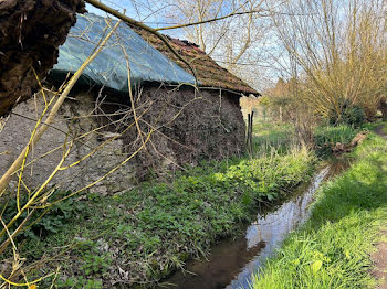 terrain à Avaray (41)