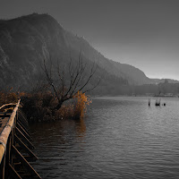 Torbiere del Sebino di 