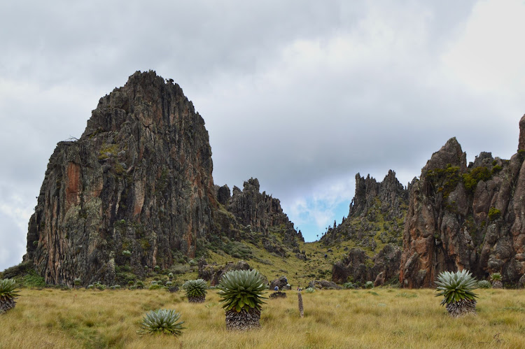 Dragon's teeth