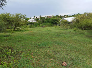 terrain à Sainte Anne (971)