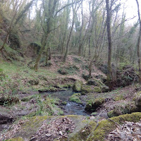 ...autunno in Tuscia.... di 