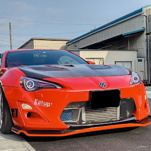 86 ZN6
