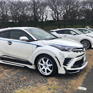 C-HR ZYX10