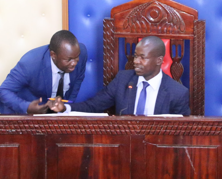 Majority Leader Laban Mukhwana (L) shares a word with deputy speaker Lawrence Okaale during a recent session.