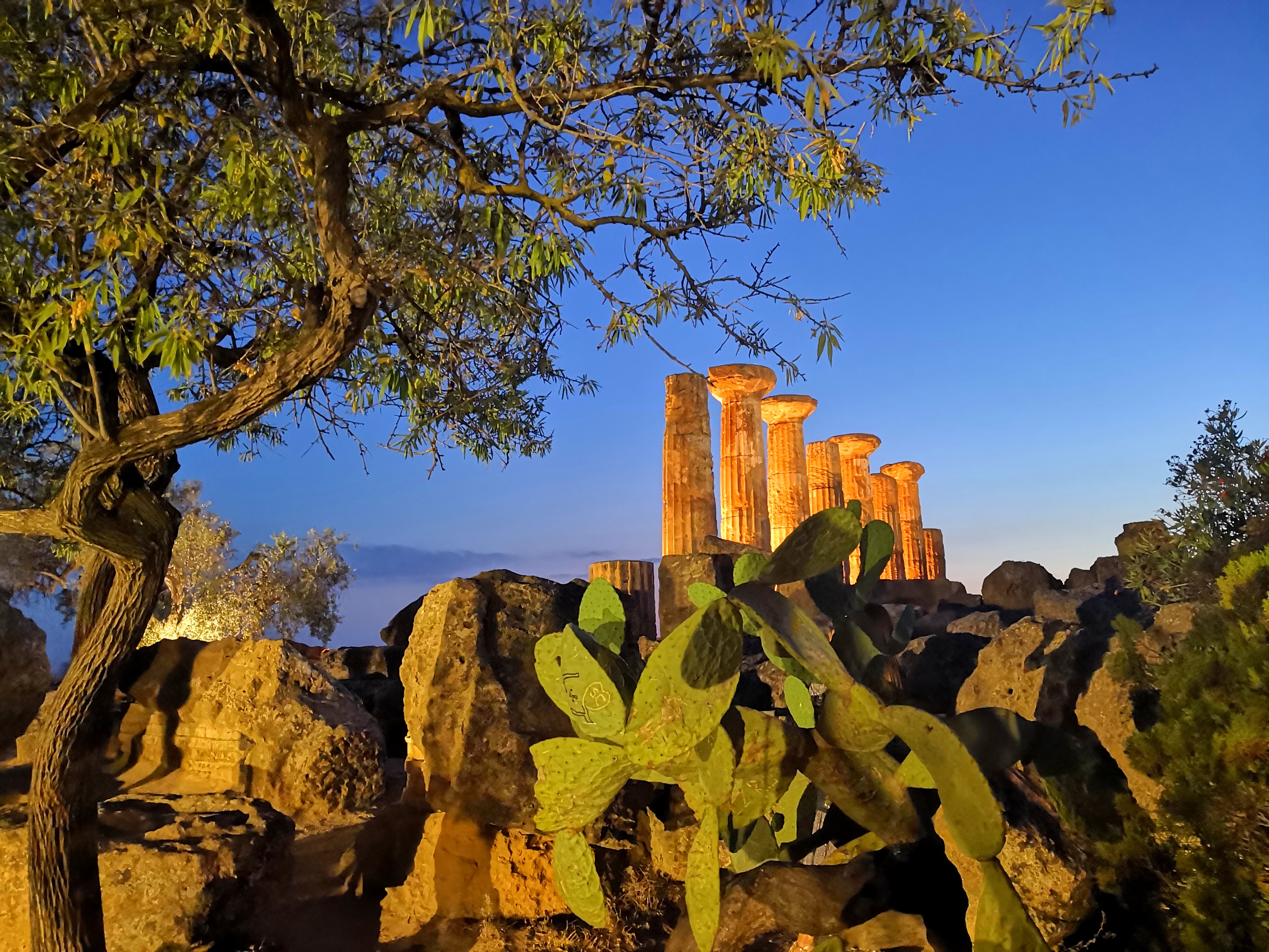 La Natura contempla il Tempio di erika1012