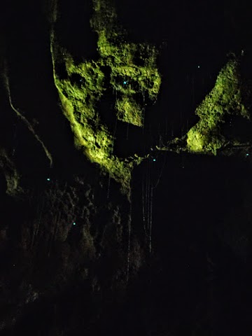 Ruakuri Cave Glow Worms Waitomo Glowworm Caves