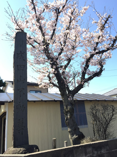 成田山大照寺