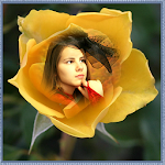 Cover Image of Télécharger Sunflower Photo Frame 1.0 APK