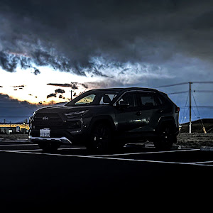 RAV4 AXAH54