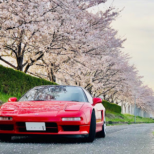 NSX NA1